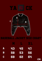 Novel Flash - BASEBALL JACKET (FLASHFANTASY SERIES)