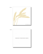 SoWhat - Phubbing! VINYL RECORD(限量黑膠唱片)