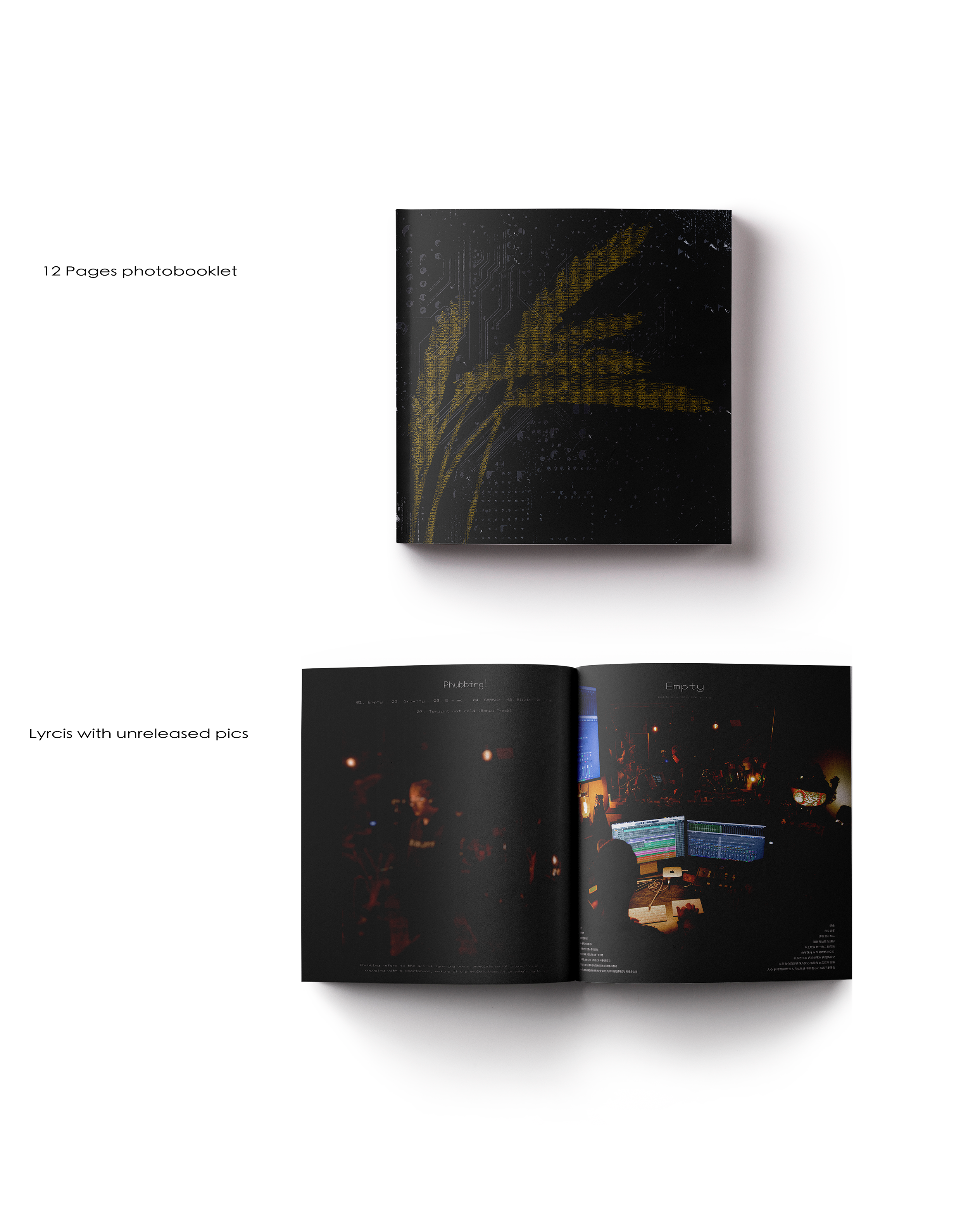 SoWhat - Phubbing! VINYL RECORD(限量黑膠唱片)